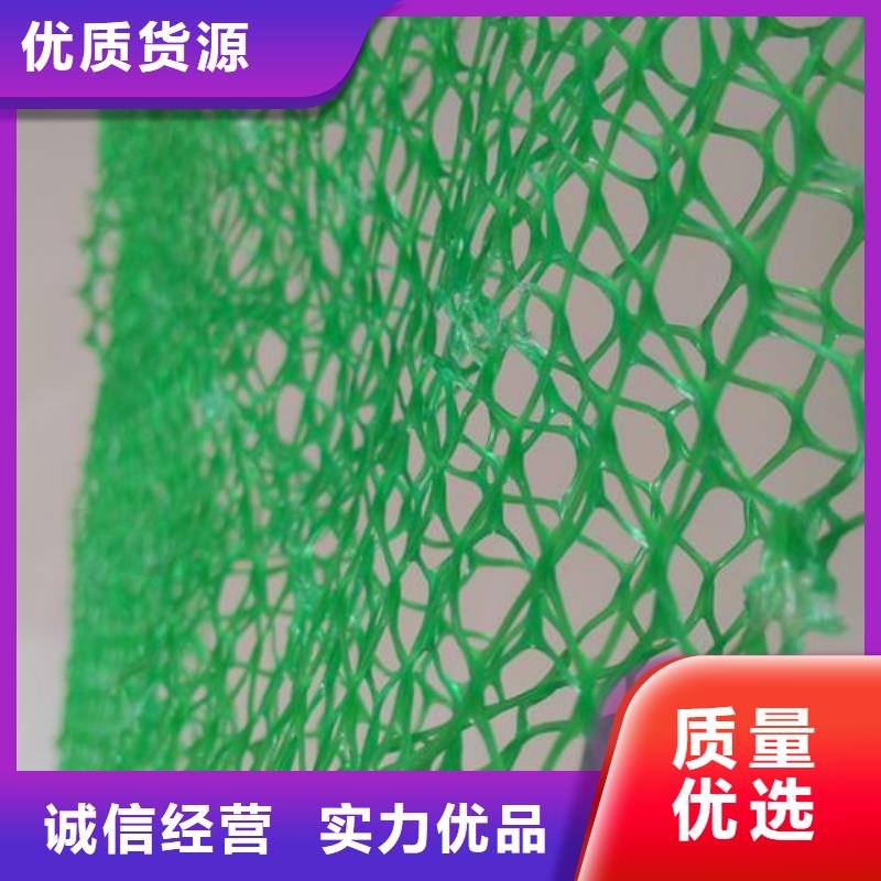 三维植被网凸结点钢塑土工格栅专业生产制造厂