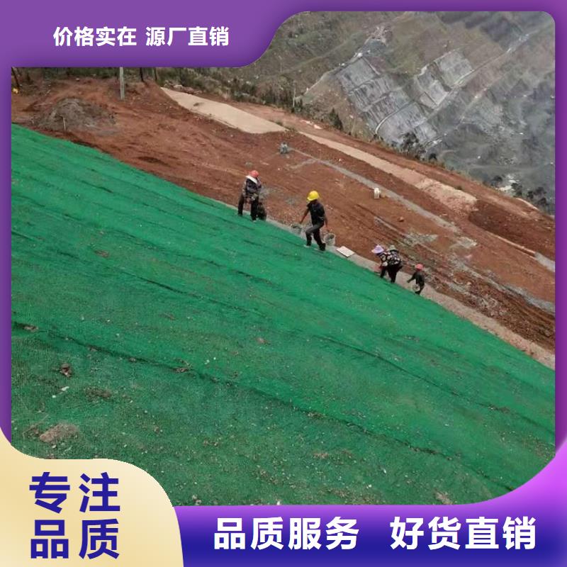 三维植被网玻纤土工格栅用途广泛
