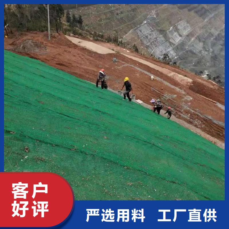 三维植被网玻纤土工格栅用途广泛