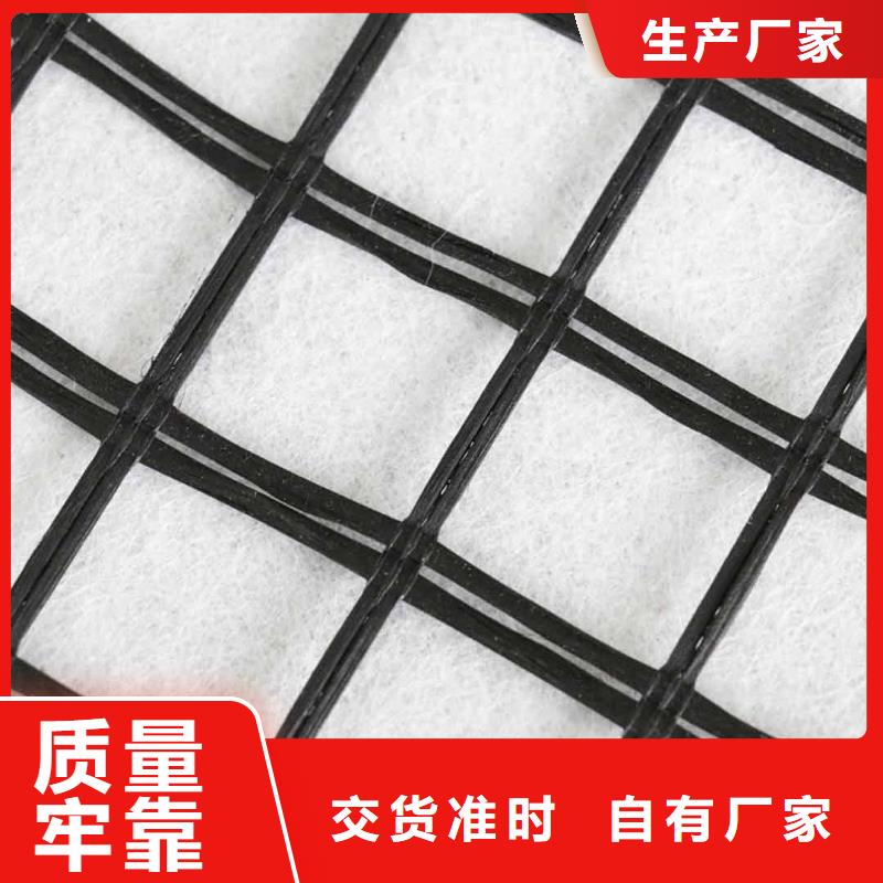 玻纖土工格柵雙向塑料土工格柵做工細(xì)致