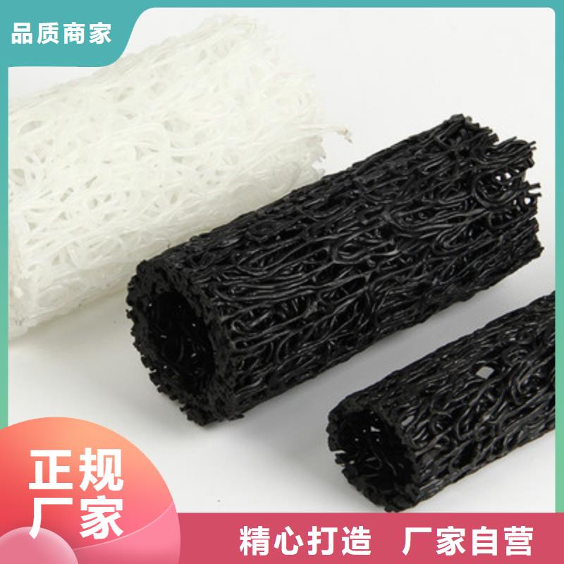 塑料盲沟渗排水片材讲信誉保质量