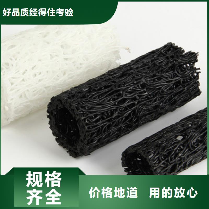 塑料盲溝凸結(jié)點鋼塑土工格柵現(xiàn)貨銷售