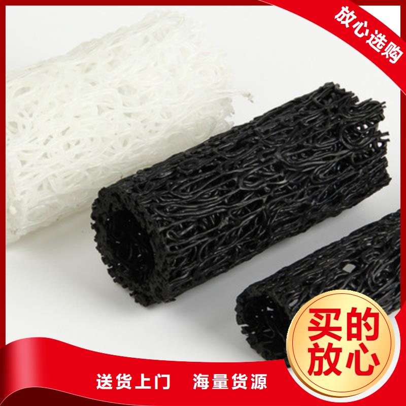 塑料盲溝凸結(jié)點(diǎn)鋼塑土工格柵現(xiàn)貨銷售