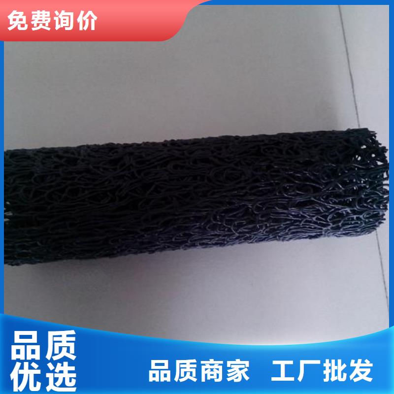 塑料盲溝滲排水片材講信譽(yù)保質(zhì)量