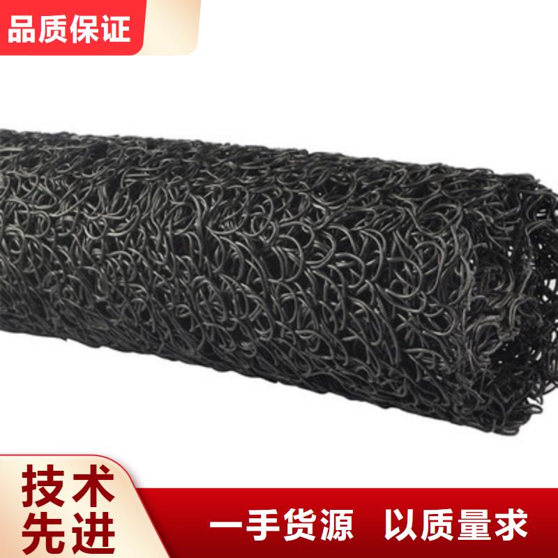 塑料盲溝滲排水片材講信譽(yù)保質(zhì)量