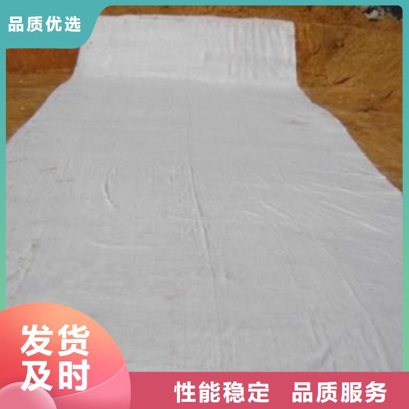 膨润土防水毯涤纶土工格栅源厂直接供货