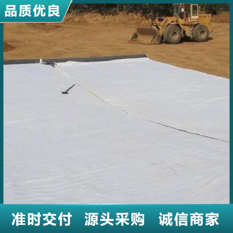 膨潤土防水毯水土保護(hù)毯買的是放心