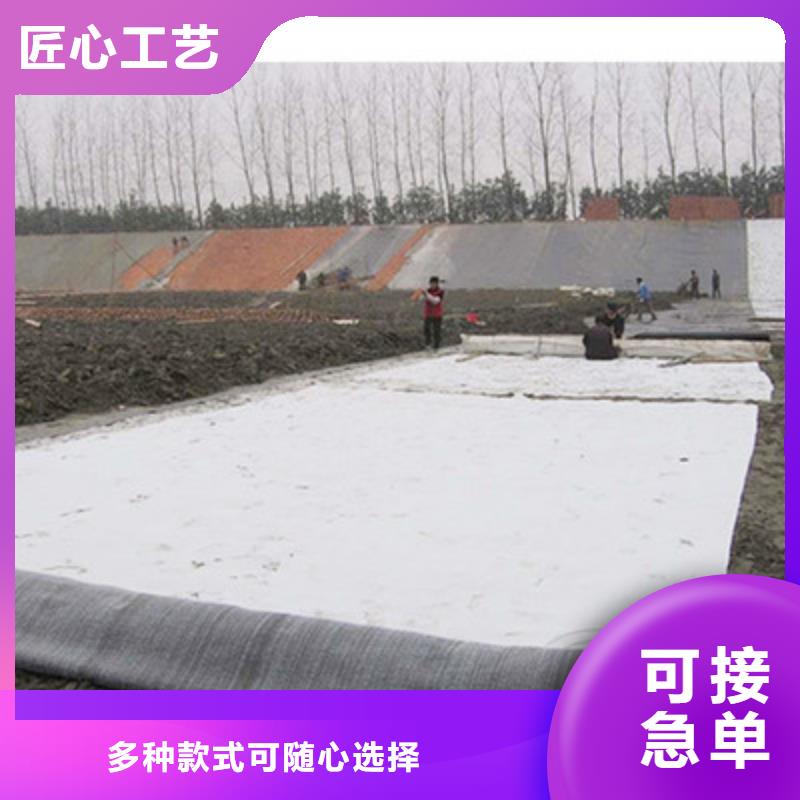膨润土防水毯-三维土工网垫现货充裕