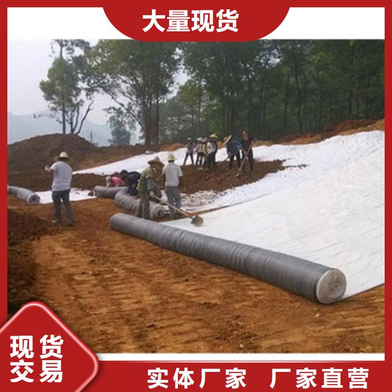 膨潤土防水毯-三維土工網(wǎng)墊現(xiàn)貨充裕