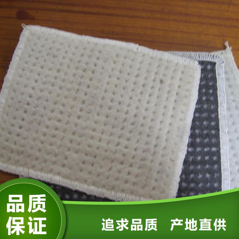 膨润土防水毯钢塑土工格栅实力优品