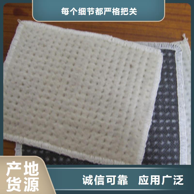 膨润土防水毯PP焊接土工格栅质保一年
