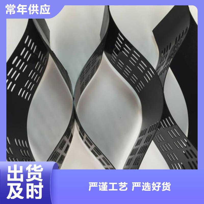 土工格室_膨润土防水毯厂家经验丰富