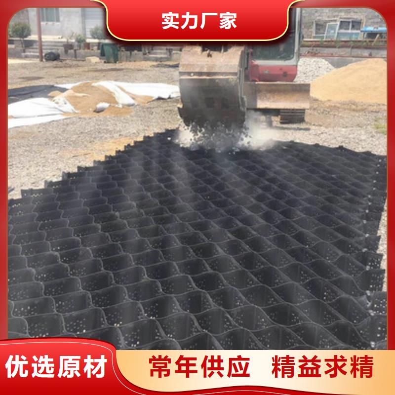 土工格室鋼塑土工格柵定制銷售售后為一體