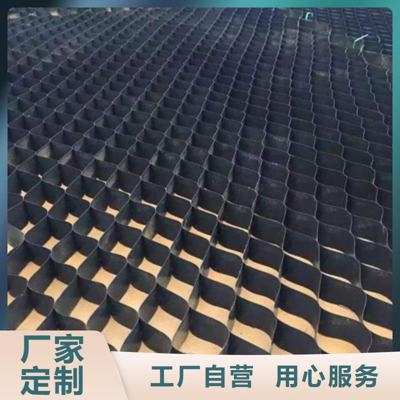 土工格室鋼塑土工格柵定制銷售售后為一體