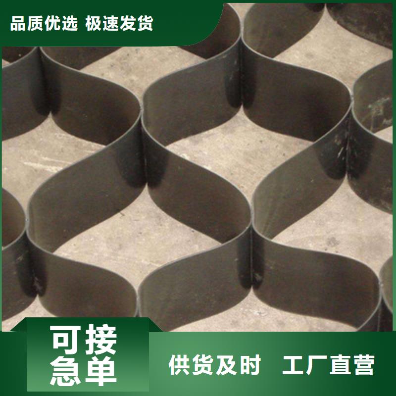 土工格室雙向塑料土工格柵高質(zhì)量高信譽