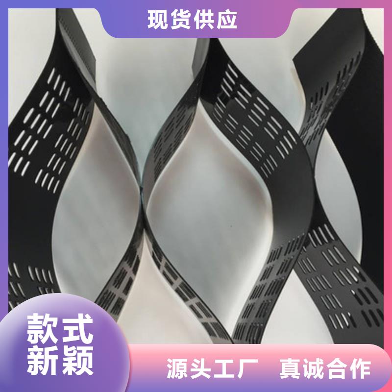 土工格室雙向拉伸土工格柵來(lái)圖定制