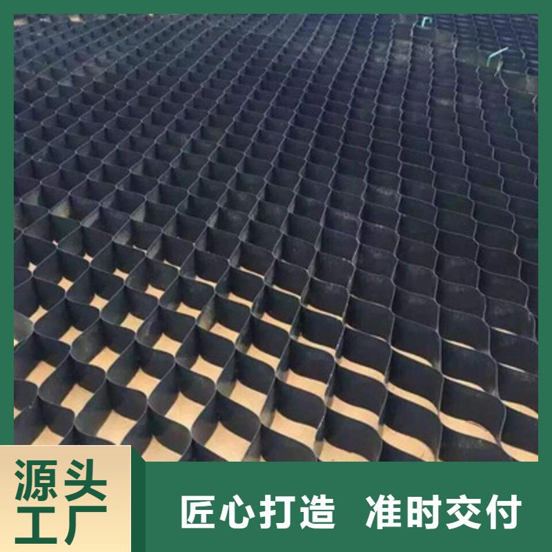 土工格室雙向塑料土工格柵優(yōu)良材質(zhì)