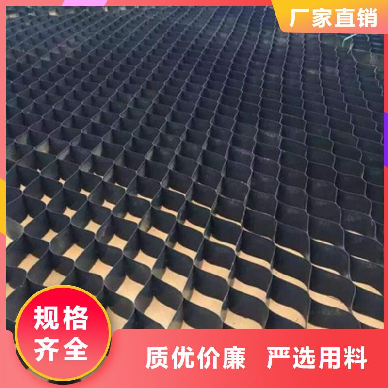 土工格室鋼塑土工格柵定制銷售售后為一體