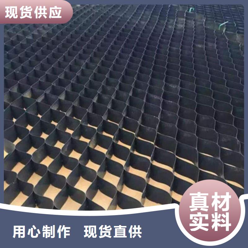 土工格室雙向塑料土工格柵高質(zhì)量高信譽