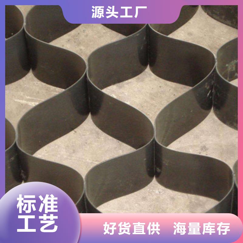 土工格室雙向塑料土工格柵高質(zhì)量高信譽