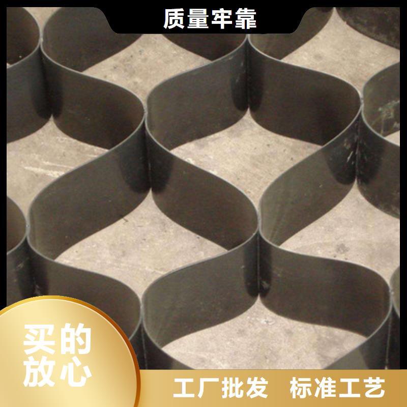 土工格室雙向塑料土工格柵高質(zhì)量高信譽