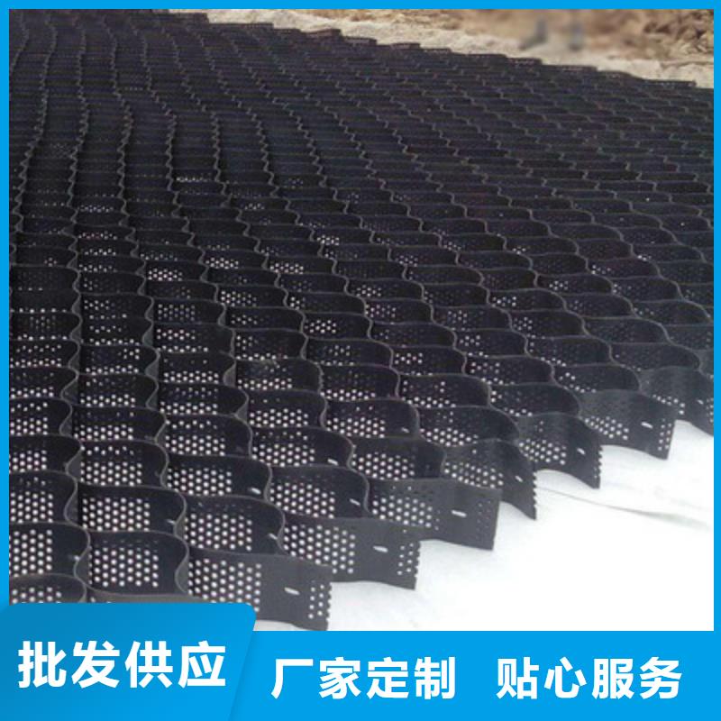 土工格室雙向塑料土工格柵高質(zhì)量高信譽