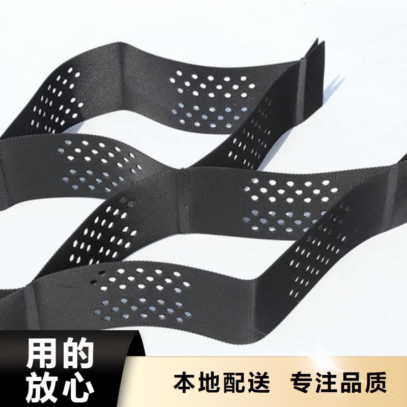 土工格室雙向塑料土工格柵高質(zhì)量高信譽