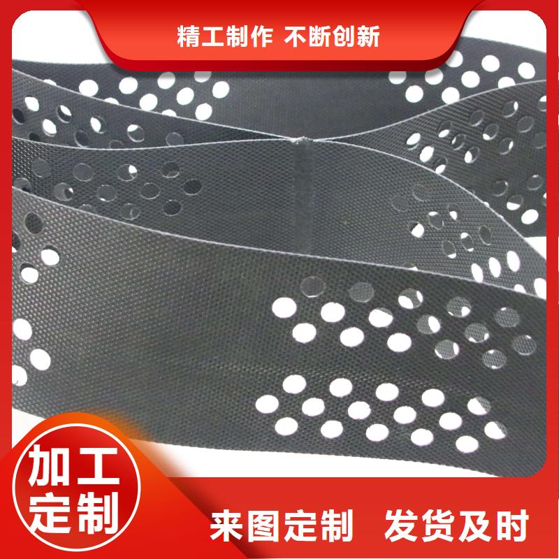 土工格室雙向塑料土工格柵高質(zhì)量高信譽