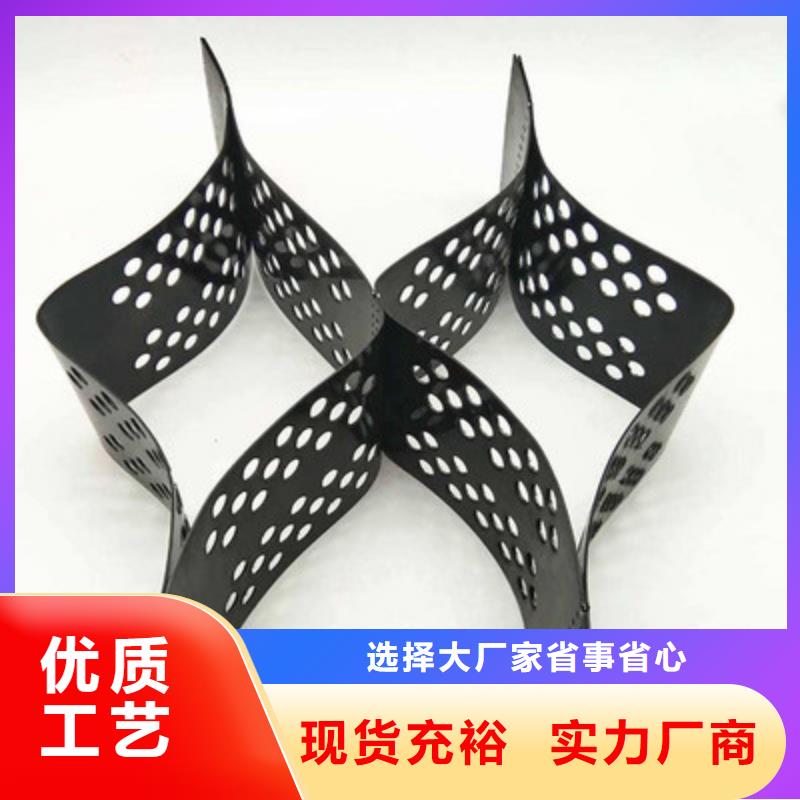 土工格室雙向塑料土工格柵高質(zhì)量高信譽