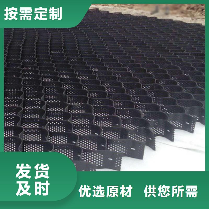 土工格室雙向塑料土工格柵高質(zhì)量高信譽