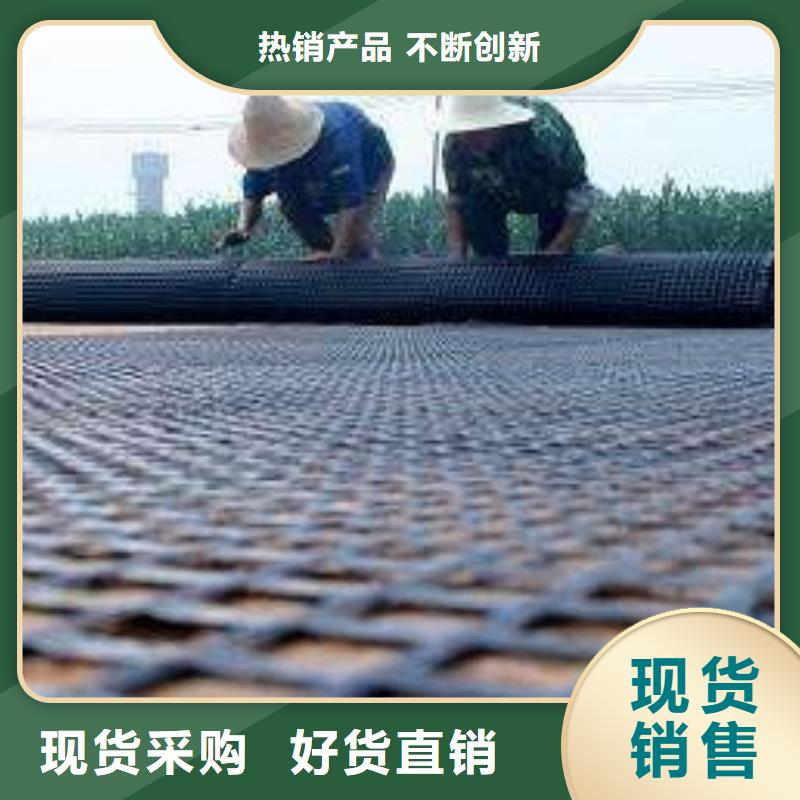钢塑土工格栅玻纤土工格栅工厂直供