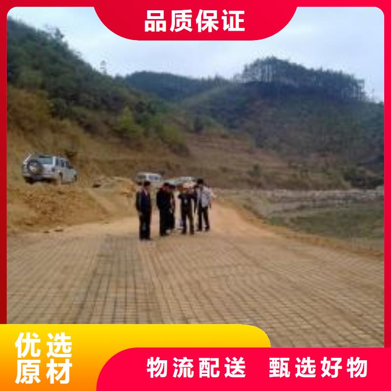 钢塑土工格栅三维水土保护毯符合标准
