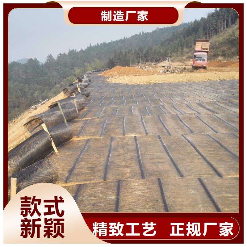 钢塑土工格栅玻纤土工格栅工厂直供