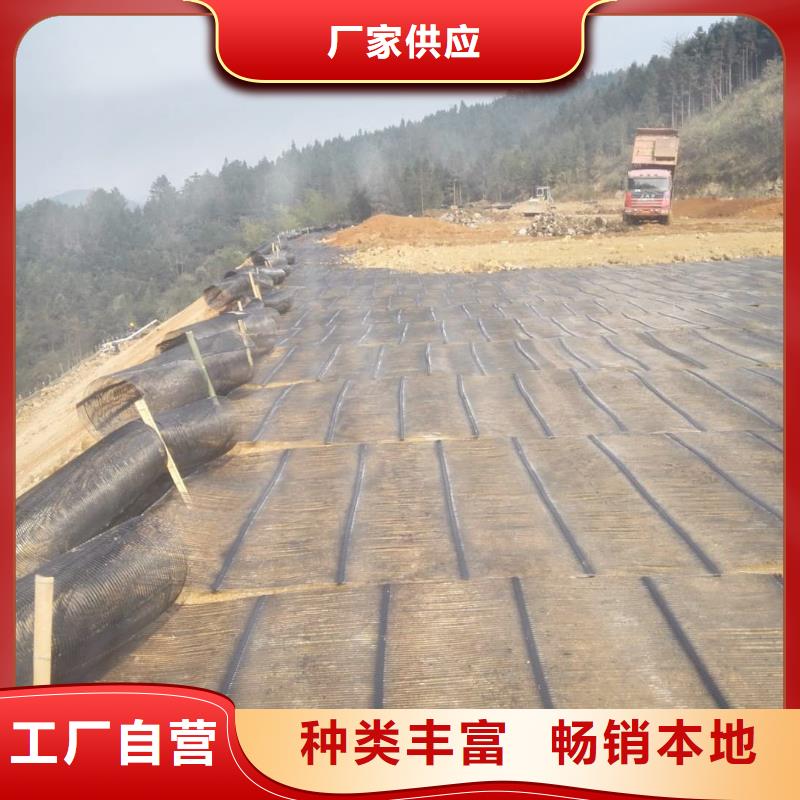 钢塑土工格栅-双向塑料土工格栅追求品质