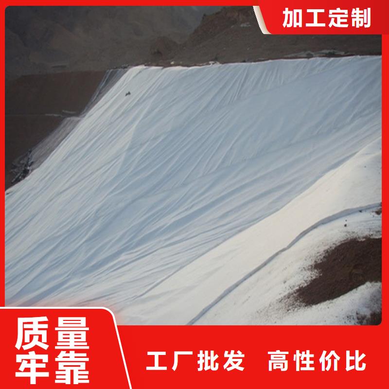 土工布雙向塑料土工格柵實(shí)力優(yōu)品