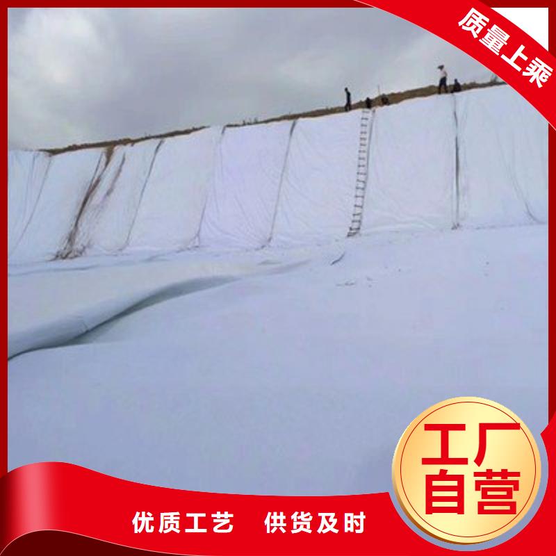 土工布雙向塑料土工格柵定制定做