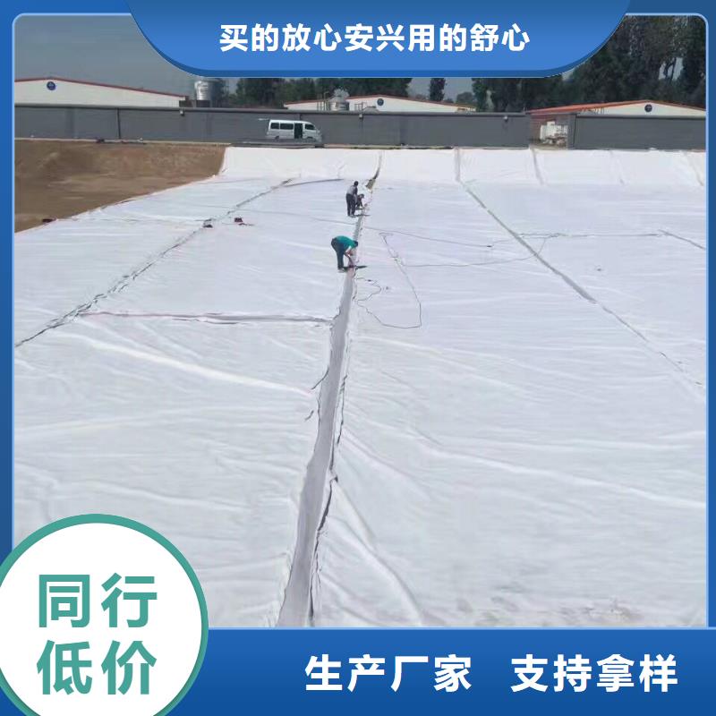 土工布,單向塑料土工格柵出廠價(jià)