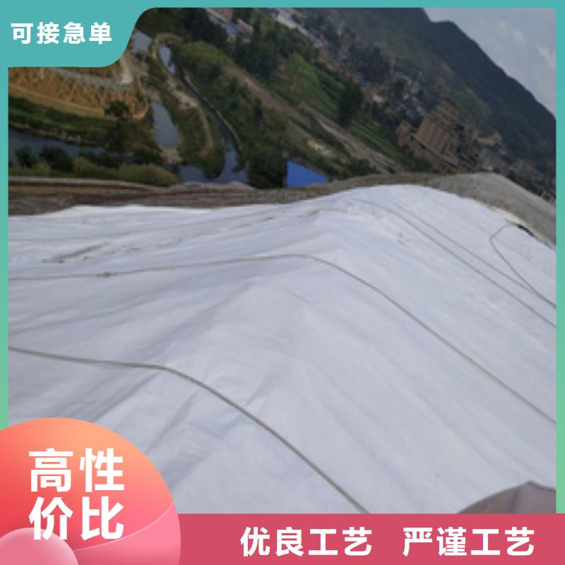 土工布,聚丙烯雙拉土工格柵工廠現(xiàn)貨供應(yīng)