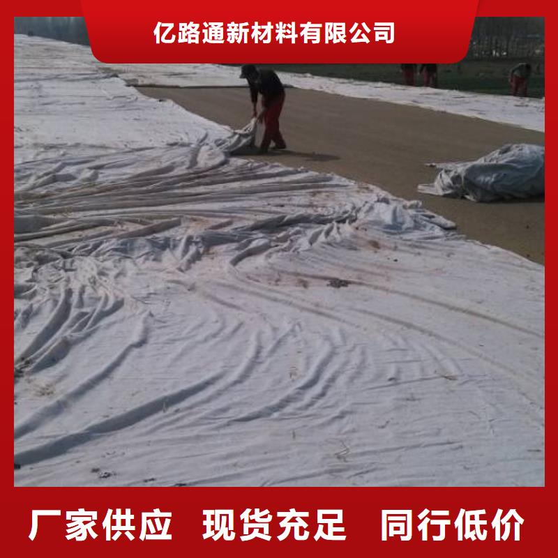 土工布雙向塑料土工格柵實(shí)力優(yōu)品