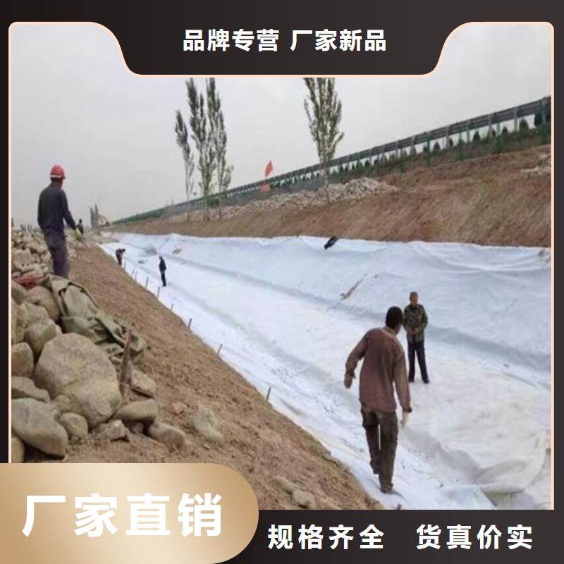 土工布双向塑料土工格栅定制定做