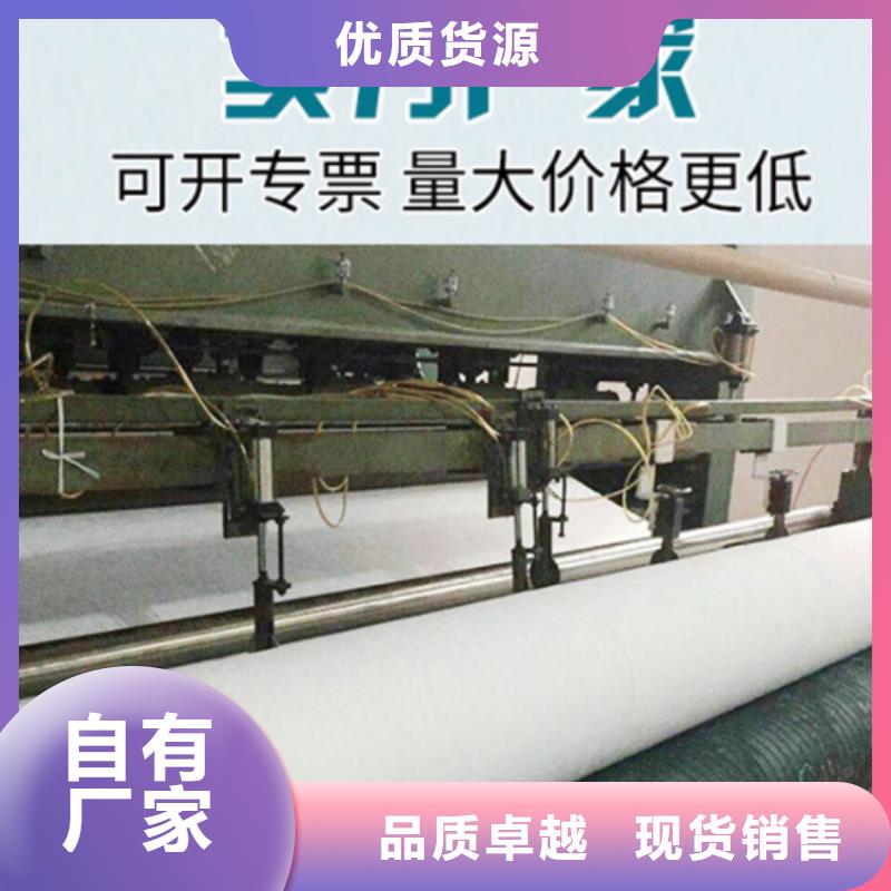 土工布三維水土保護(hù)毯好廠家有擔(dān)當(dāng)