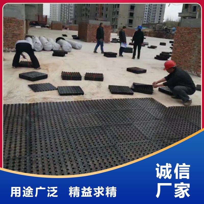 塑料排水板滌綸土工格柵工廠采購