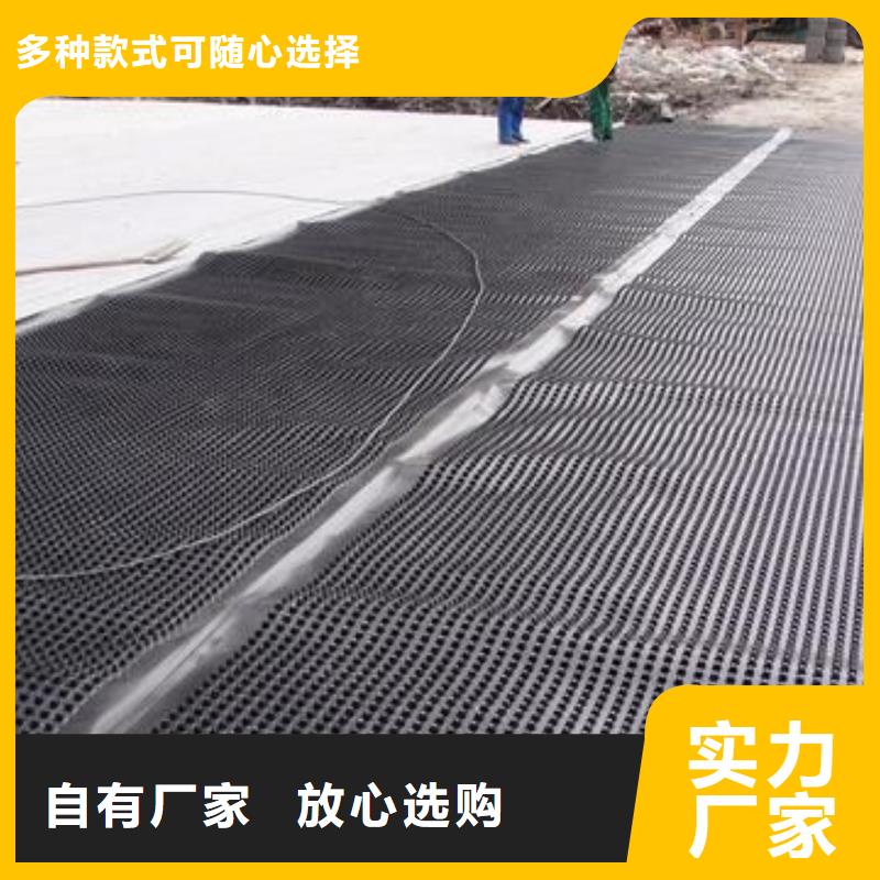 塑料排水板三維土工網(wǎng)墊匠心品質(zhì)