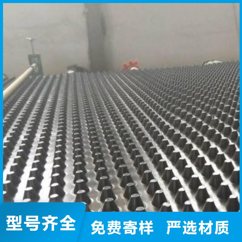塑料排水板玻纤土工格栅拥有多家成功案例