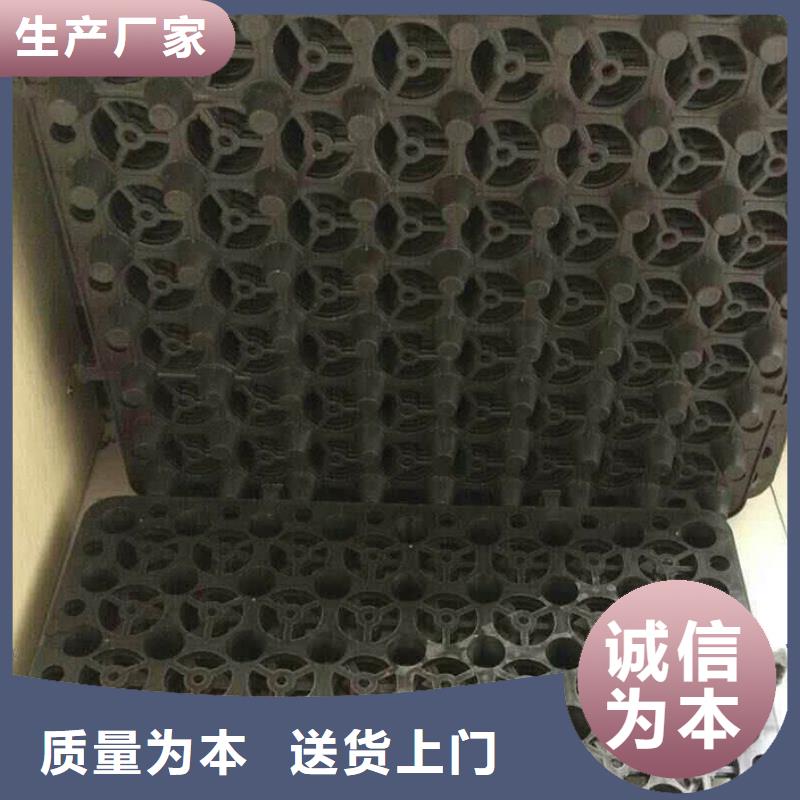 塑料排水板玻纖土工格柵擁有多家成功案例