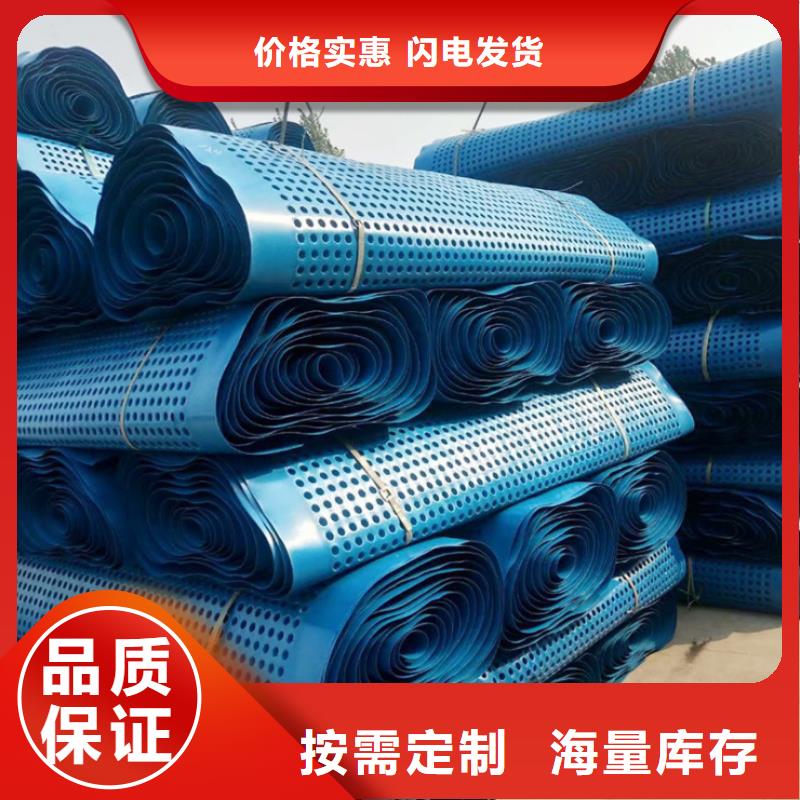 塑料排水板三維水土保護(hù)毯精選貨源