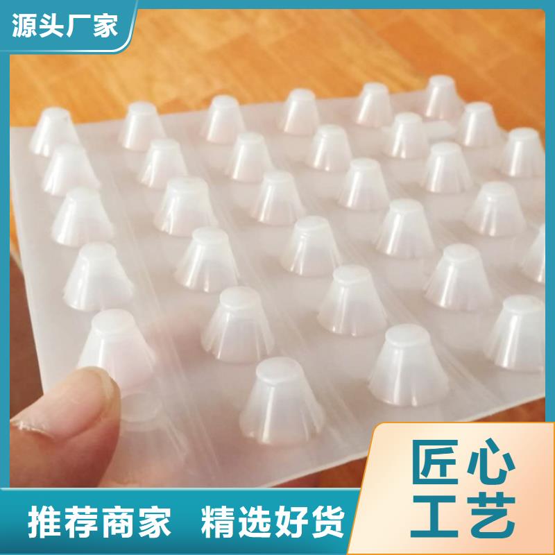 塑料排水板滌綸土工格柵工廠采購