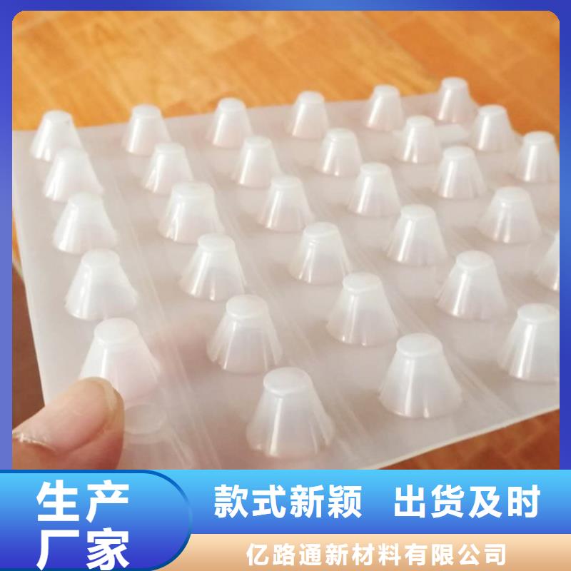 塑料排水板-土工布价格质量无忧