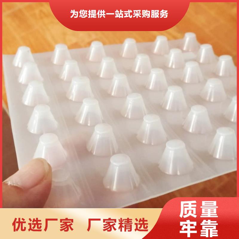 塑料排水板_玻纤土工格栅符合标准