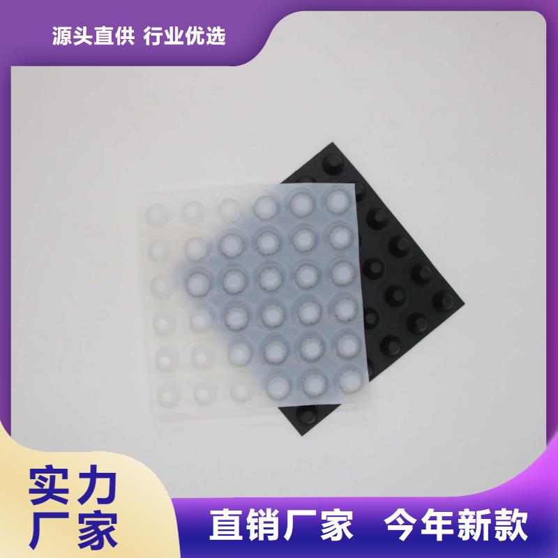 塑料排水板_凸结点钢塑土工格栅以质量求生存